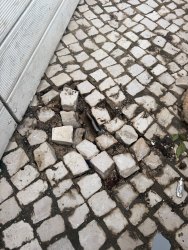 Photo of this report