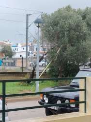 Photo of this report