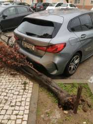 Photo of this report