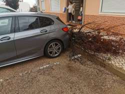 Photo of this report