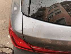 Photo of this report