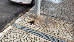 Photo of this report