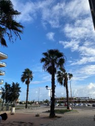 Photo of this report