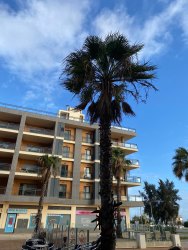 Photo of this report