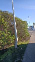 Photo of this report