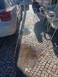 Photo of this report