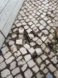 Photo of this report