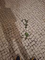 Photo of this report