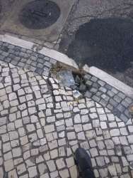 Photo of this report