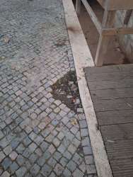 Photo of this report