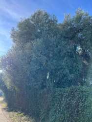 Photo of this report