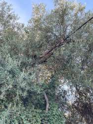 Photo of this report