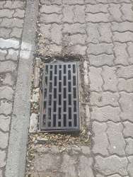 Photo of this report