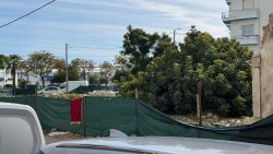 Photo of this report