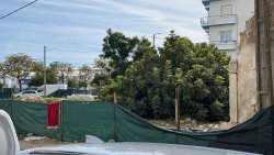 Photo of this report