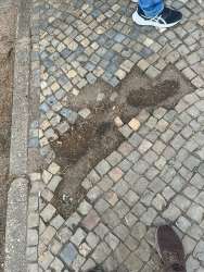 Photo of this report