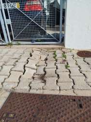 Photo of this report