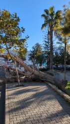 Photo of this report