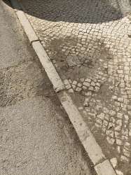 Photo of this report