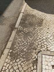 Photo of this report