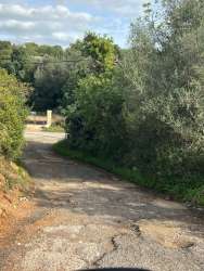 Photo of this report