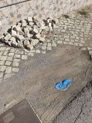 Photo of this report