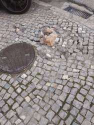 Photo of this report