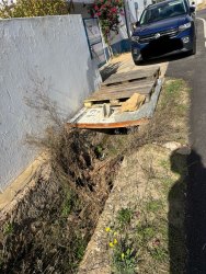 Photo of this report