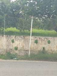 Photo of this report