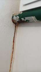 Photo of this report