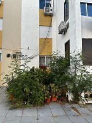 Photo of this report