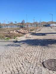 Photo of this report