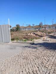 Photo of this report