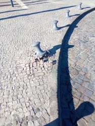 Photo of this report