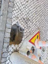 Photo of this report