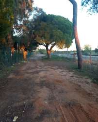 Photo of this report