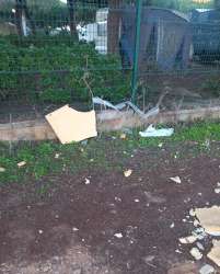 Photo of this report