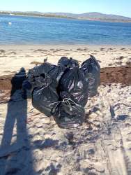 Photo of this report