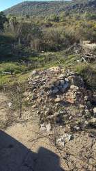 Photo of this report