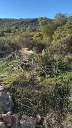 Photo of this report