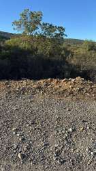 Photo of this report