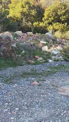 Photo of this report