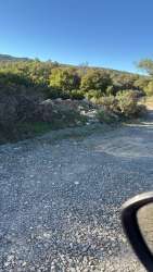 Photo of this report