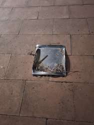 Photo of this report