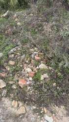 Photo of this report