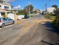 Photo of this report