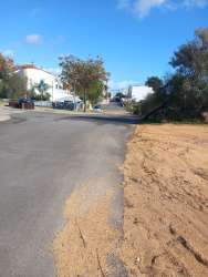 Photo of this report