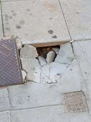 Photo of this report