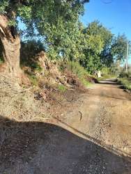 Photo of this report