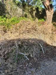 Photo of this report